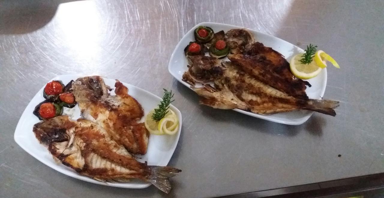 Hotel Restaurant Univers Shkodra Kültér fotó